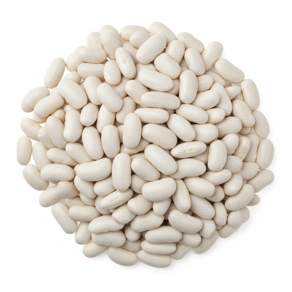 Frijol Alubia Blanco — Argentina