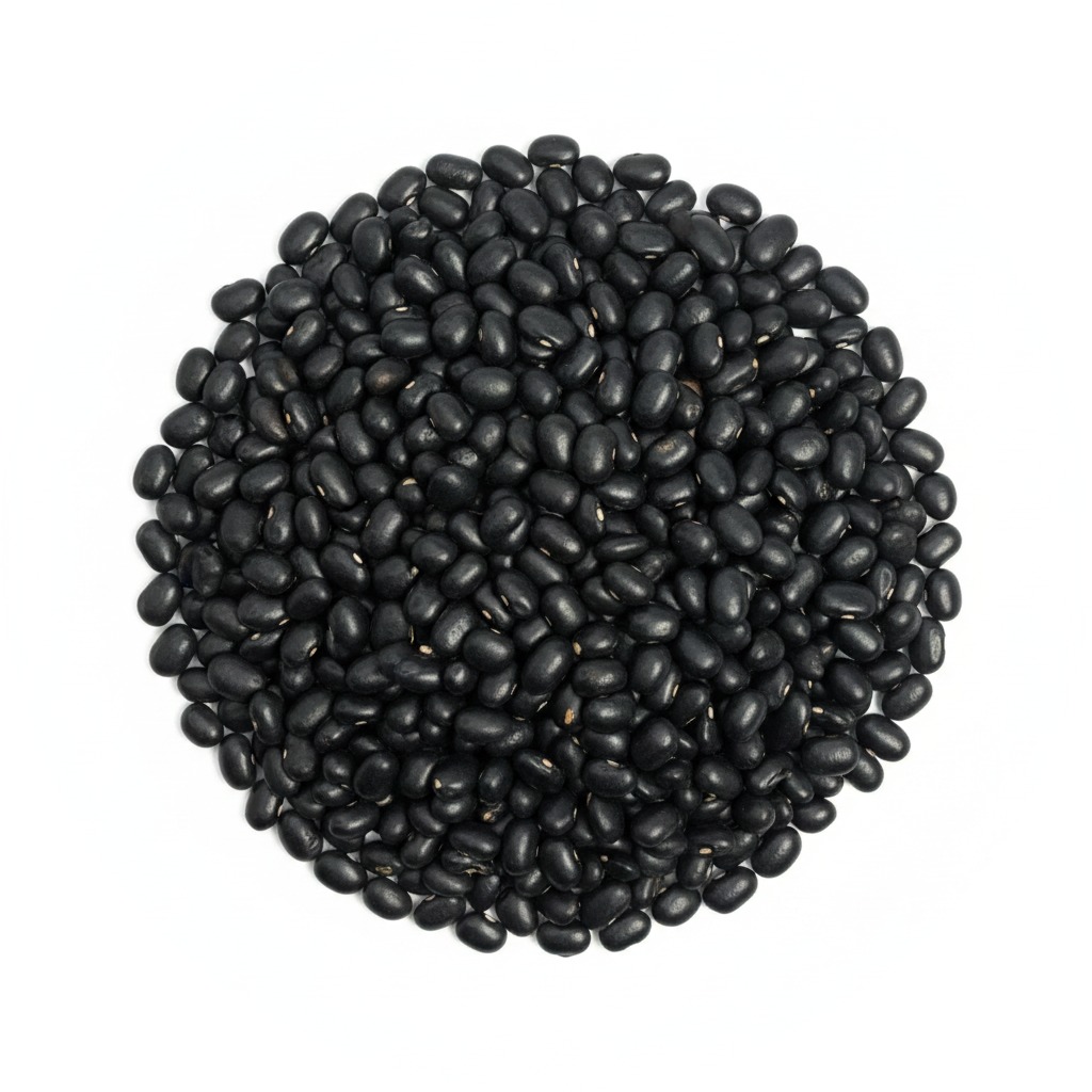 Frijol Negro — Argentina