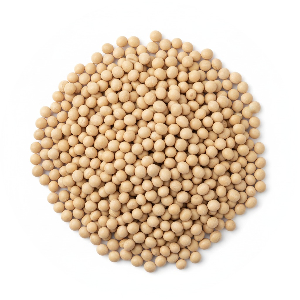 Grano de Soya — Argentina